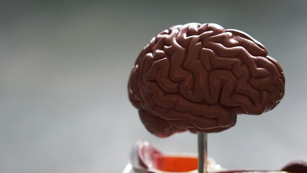Infermieristica Clinica in Salute Mentale